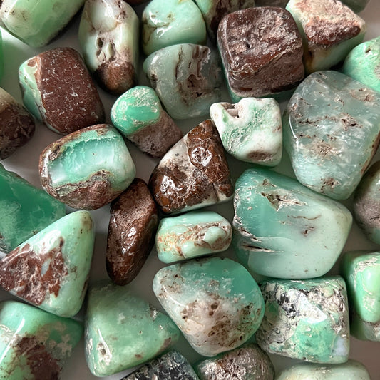 Brown Green Chrysoprase Tumbled