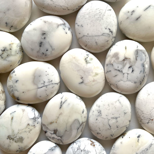 Dendritic Opal Palm Stone