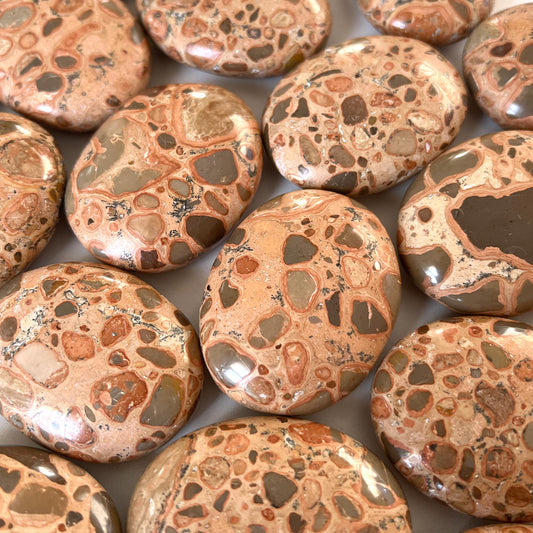 Leopardskin Jasper Palm Stone