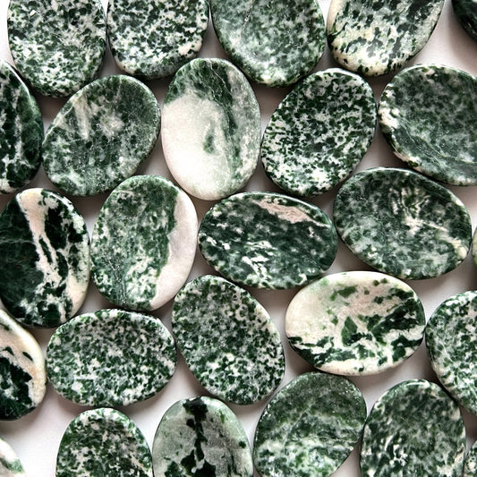 Green Snowflake Epidote Worry Stone