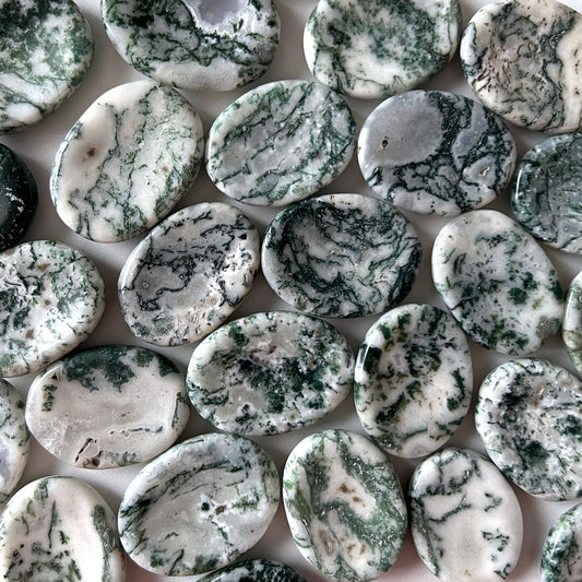 Tree Agate Worry Stone