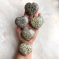 Dalmatian Jasper Heart