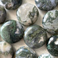 PROSPERITY | Moss Agate Round Mini Palm Stone | New Beginnings | Abundance - Sole Luna