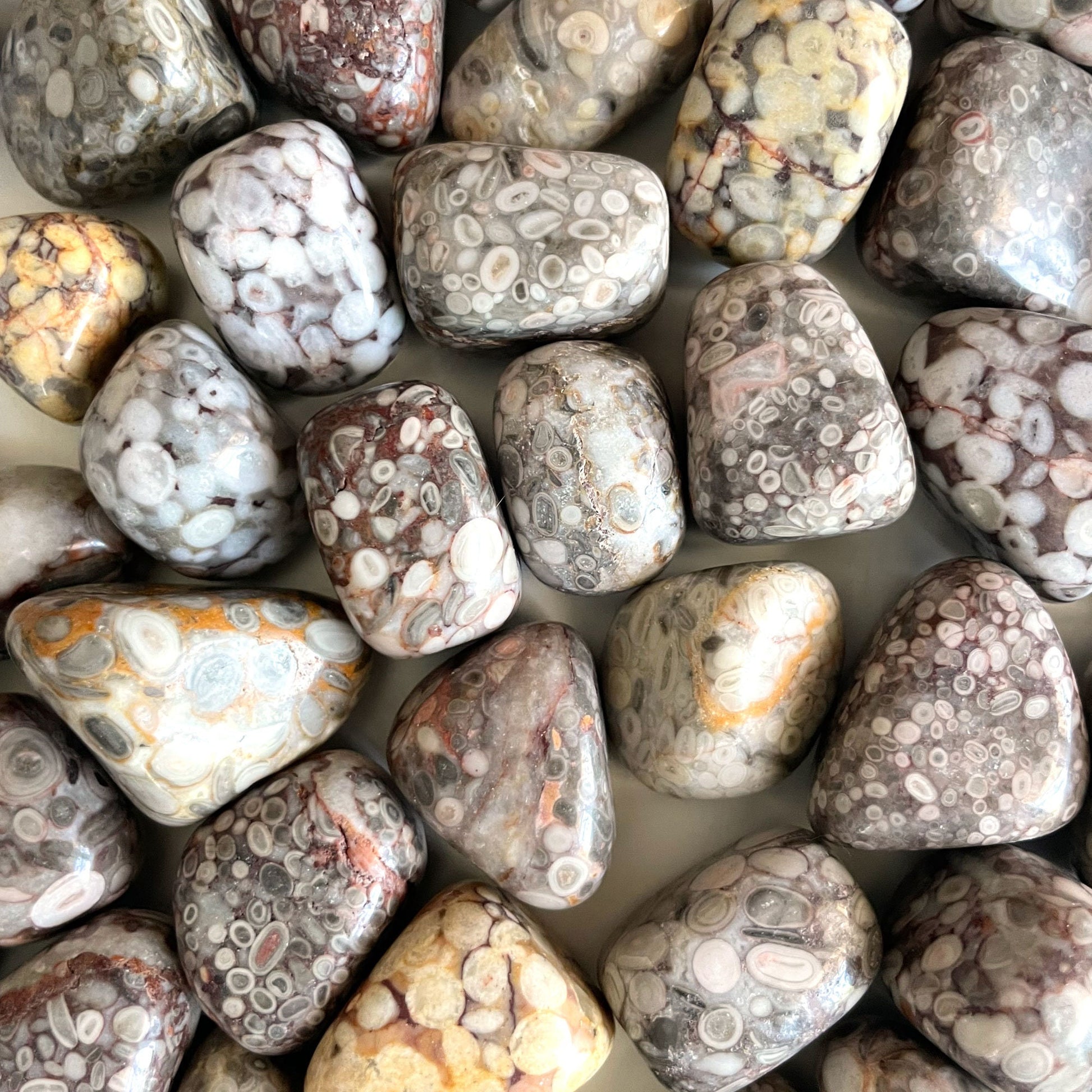 White Leopardskin Jasper Tumbled Stone | Shamanic Journeying | Stability | Accepting Change - Sole Luna