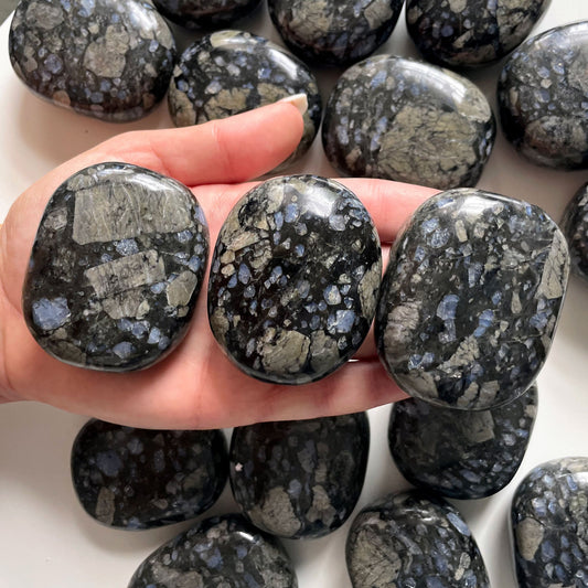 RARE Black Que Sera Palm Stone | Llanite | Glaucophane | Higher Dimensional Awareness | Clairaudience | Overcoming Negativity - Sole Luna