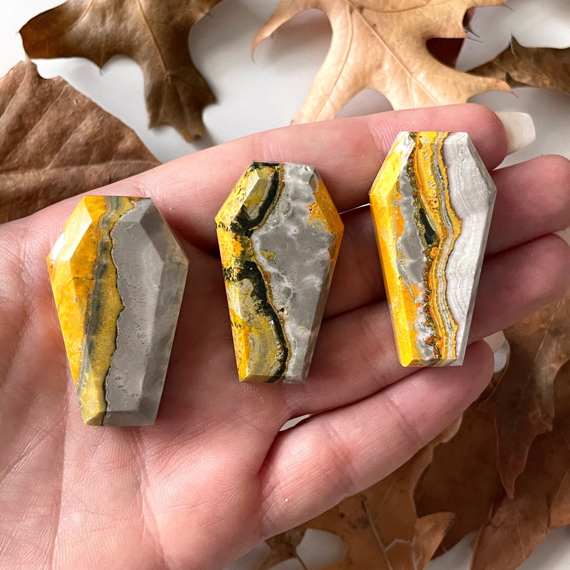 Bumble Bee Jasper Coffin Carving from Indonesia | Confidence | Creativity | Energy - Sole Luna