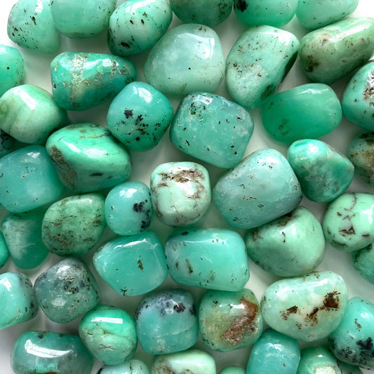 HEART HEALER Chrysoprase Tumbled Stone | Green Chalcedony | Detoxifying | Heart Chakra Activation | Optimism | Abundance | Forgiveness - Sole Luna