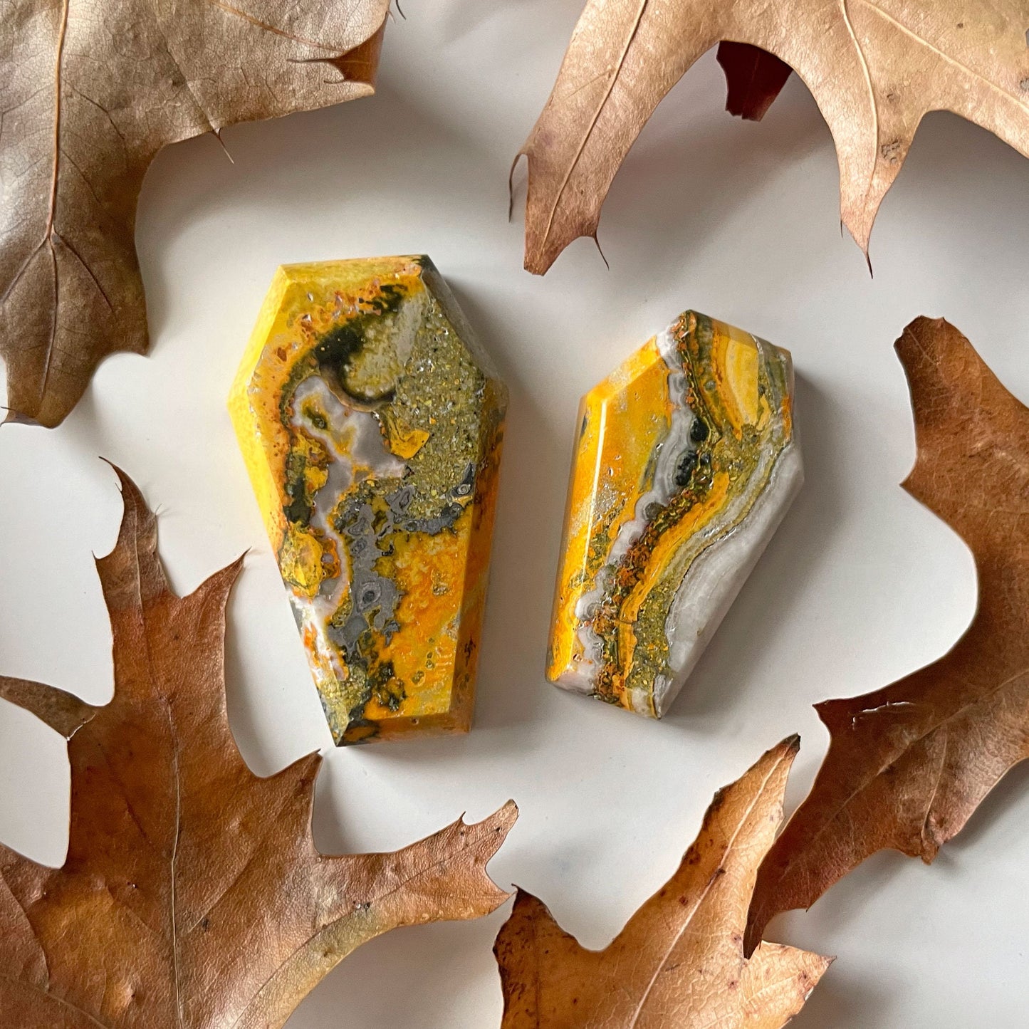 Bumble Bee Jasper Coffin Carving from Indonesia | Confidence | Creativity | Energy - Sole Luna