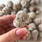 Desert Rose Selenite from Mexico | Gypsum | Purification | Detoxification | Protection | Intuition | Clears Negativity - Sole Luna
