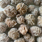 Desert Rose Selenite from Mexico | Gypsum | Purification | Detoxification | Protection | Intuition | Clears Negativity - Sole Luna