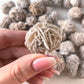 Desert Rose Selenite from Mexico | Gypsum | Purification | Detoxification | Protection | Intuition | Clears Negativity - Sole Luna