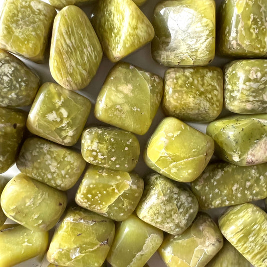 Yellow Green Serpentine Tumbled Stone | Meditation Palm Stone | Healing Crystal - Sole Luna