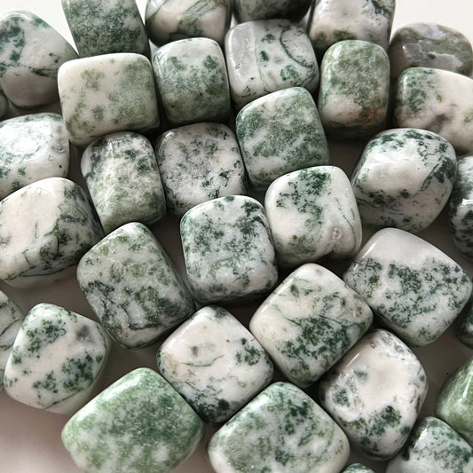 Tree Agate Tumbled Stone | Life Cycles | Heart Healing | Family Bonds | Strength | Abundance - Sole Luna