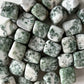 Tree Agate Tumbled Stone | Life Cycles | Heart Healing | Family Bonds | Strength | Abundance - Sole Luna