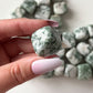 Tree Agate Tumbled Stone | Life Cycles | Heart Healing | Family Bonds | Strength | Abundance - Sole Luna