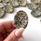 Dalmatian Jasper Worry Stone