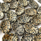 Dalmatian Jasper Worry Stone
