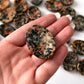 Orthoclase Worry Stone | Feldspar | Vitality + Growth | Overcome Tragedy | Life Enjoyment | Optimism | Good Fortune | Insight | Alignment - Sole Luna