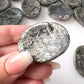 WEALTH Marcasite Worry Stone | Prosperity | Abundance | Self-Worth | Focus | Financial Growth | RARE - Sole Luna