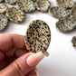 Dalmatian Jasper Worry Stone