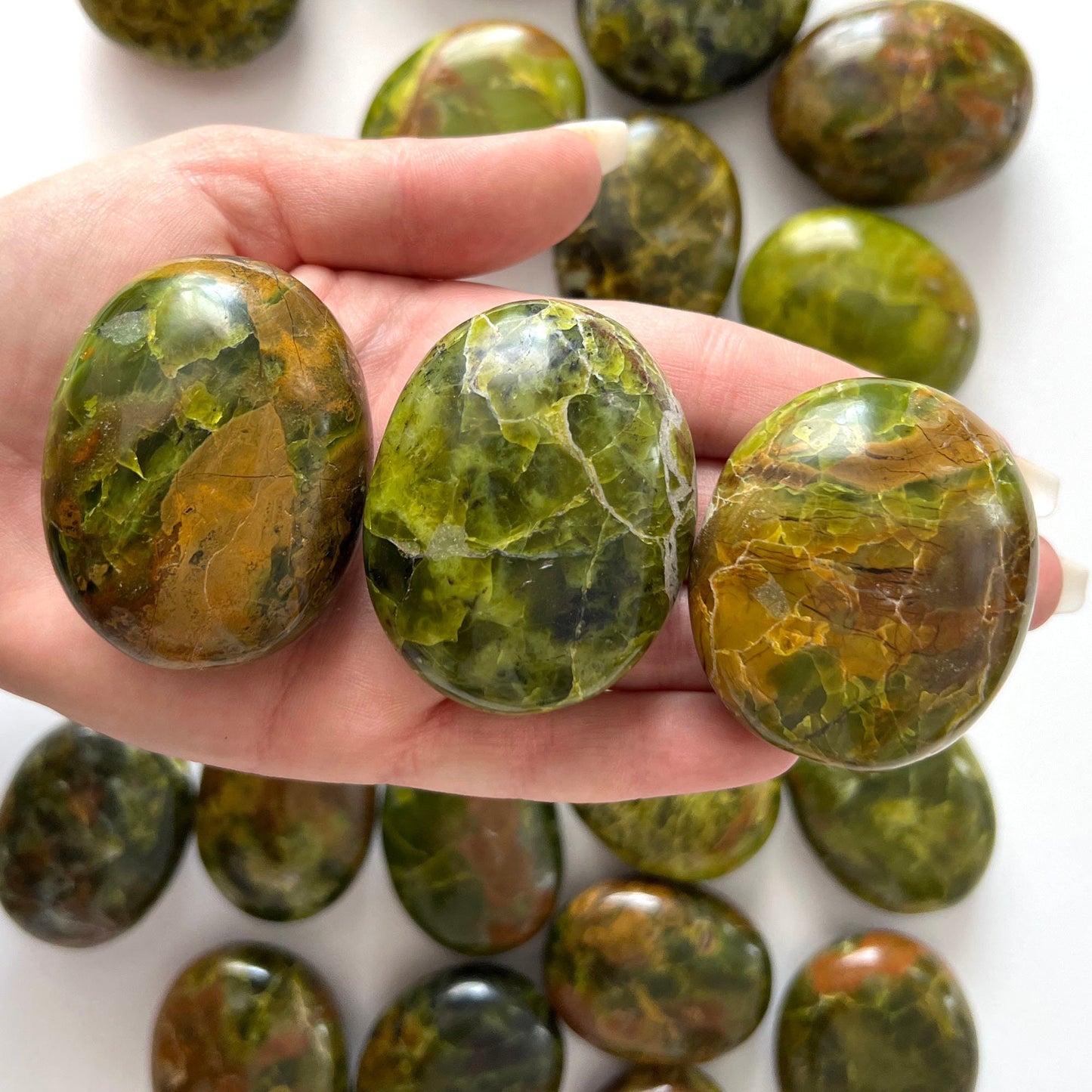 Green Opal Palm Stone | Strengthen Relationships | Clears Blockages | Abundance | Rejuvenation | Fear Relaase - Sole Luna