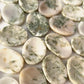 Green Kyanite Worry Stone | Heart Chakra Connection | Psychic Awareness | Truth | Discernment | Aids in Judgement of Character | Abundance - Sole Luna